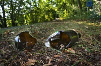 No Hyperlink Between Mild Consuming...