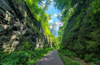 The Little Issues E-newsletter #426...