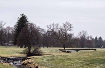 The Little Things Newsletter #456 &...