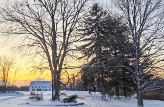 The Little Things Newsletter #457 &...