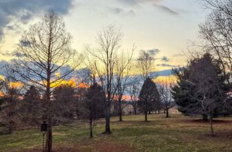 The Little Things Newsletter #458 &...