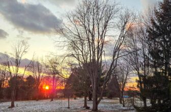 The Little Things Newsletter #459 &...