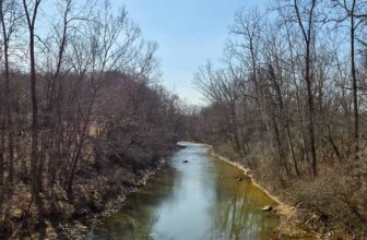 The Little Things Newsletter #460 &...