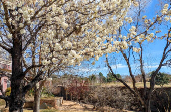 The Little Things Newsletter #461 &...