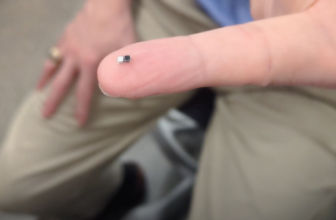 The world’s smallest pacemaker is...