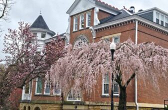 The Little Things Newsletter #463 &...