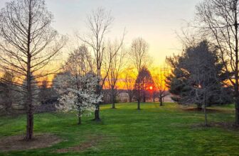 The Little Things Newsletter #464 &...