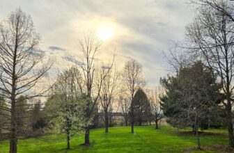 The Little Things Newsletter #465 &...