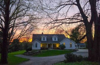 The Little Things Newsletter #466 &...