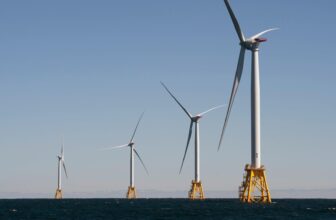 Trump Weaponizes Bureaucratic Revie...