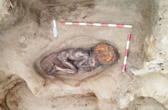 4,500-Year-Old Burial in Peru Revea...