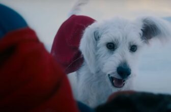Krypto Shines in Brand New Footage ...