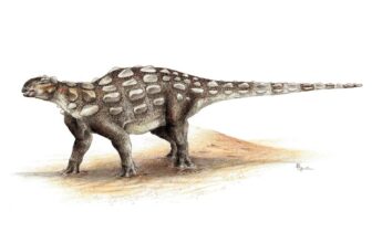 Paleontologists Uncover First Known...