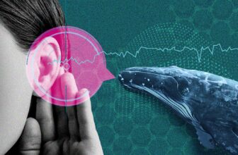 AI Is Deciphering Animal Speech. Sh...