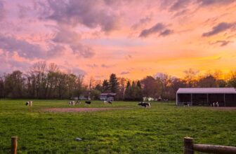 The Little Things Newsletter #467 &...