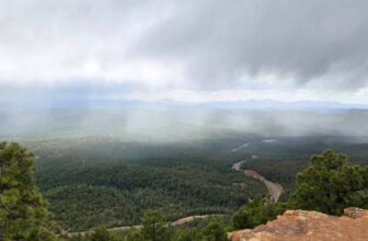 The Little Things Newsletter #468 -...