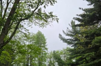 The Little Things Newsletter #469 &...