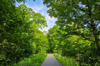 The Little Things Newsletter #471 &...