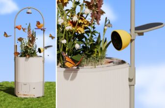 Bird Buddy ‘s Wonder Blocks i...