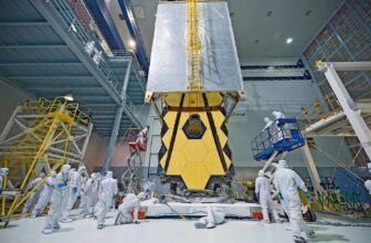 26 Unidentified Bacterial Species D...