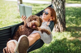 How to Make Rest Feel Productive (S...