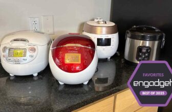 The best rice cooker for 2025