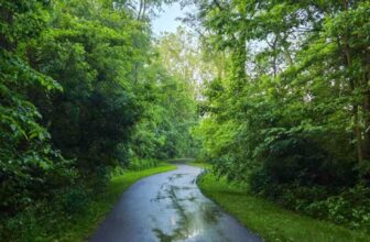 The Little Things Newsletter #472 &...