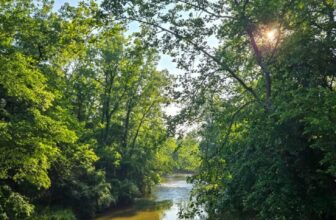 The Little Things Newsletter #473 &...