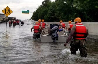 Climate Disasters Hit the Brain Bef...