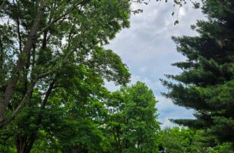 The Little Things Newsletter #474 &...