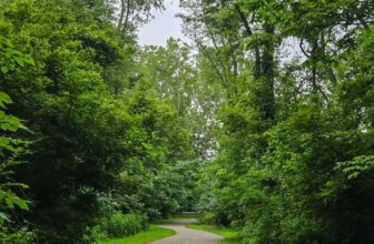 The Little Things Newsletter #477 &...