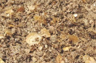 Ancient DNA Unlocks the Secret Reci...