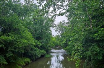 The Little Things Newsletter #478 &...