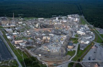 Radioactive Wasp Nest Found in Deco...