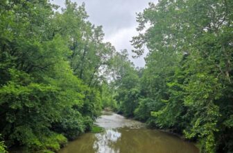 The Little Things Newsletter #480 &...