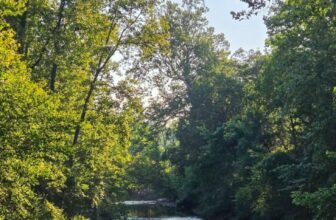 The Little Things Newsletter #483 &...