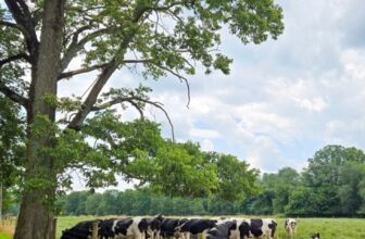 The Little Things Newsletter #482 &...