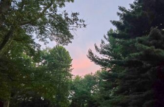 The Little Things Newsletter #484 &...