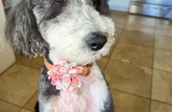 8.1 Friday Faves – The Fitnes...