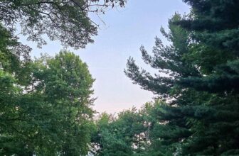 The Little Things Newsletter #481 &...