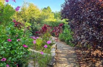 The Little Things Newsletter #486 &...