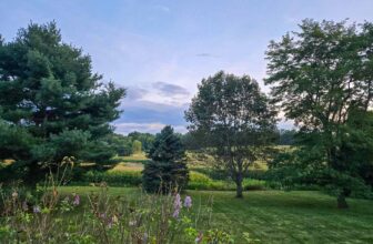 The Little Things Newsletter #485 &...