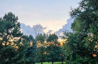 The Little Things Newsletter #488 &...