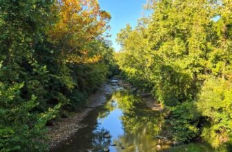 The Little Things Newsletter #487 &...