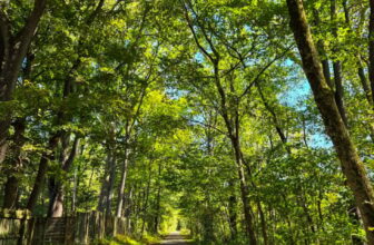 The Little Things Newsletter #489 &...