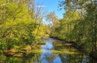 The Little Things Newsletter #490 &...