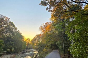 The Little Things Newsletter #491 &...