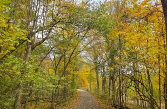 The Little Things Newsletter #492 &...