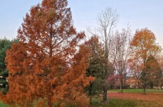 The Little Things Newsletter #495 &...