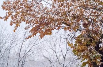 The Little Things Newsletter #496 &...